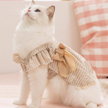 Load image into Gallery viewer, Amelie Cat Dress
