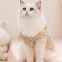 Load image into Gallery viewer, Amelie Cat Dress
