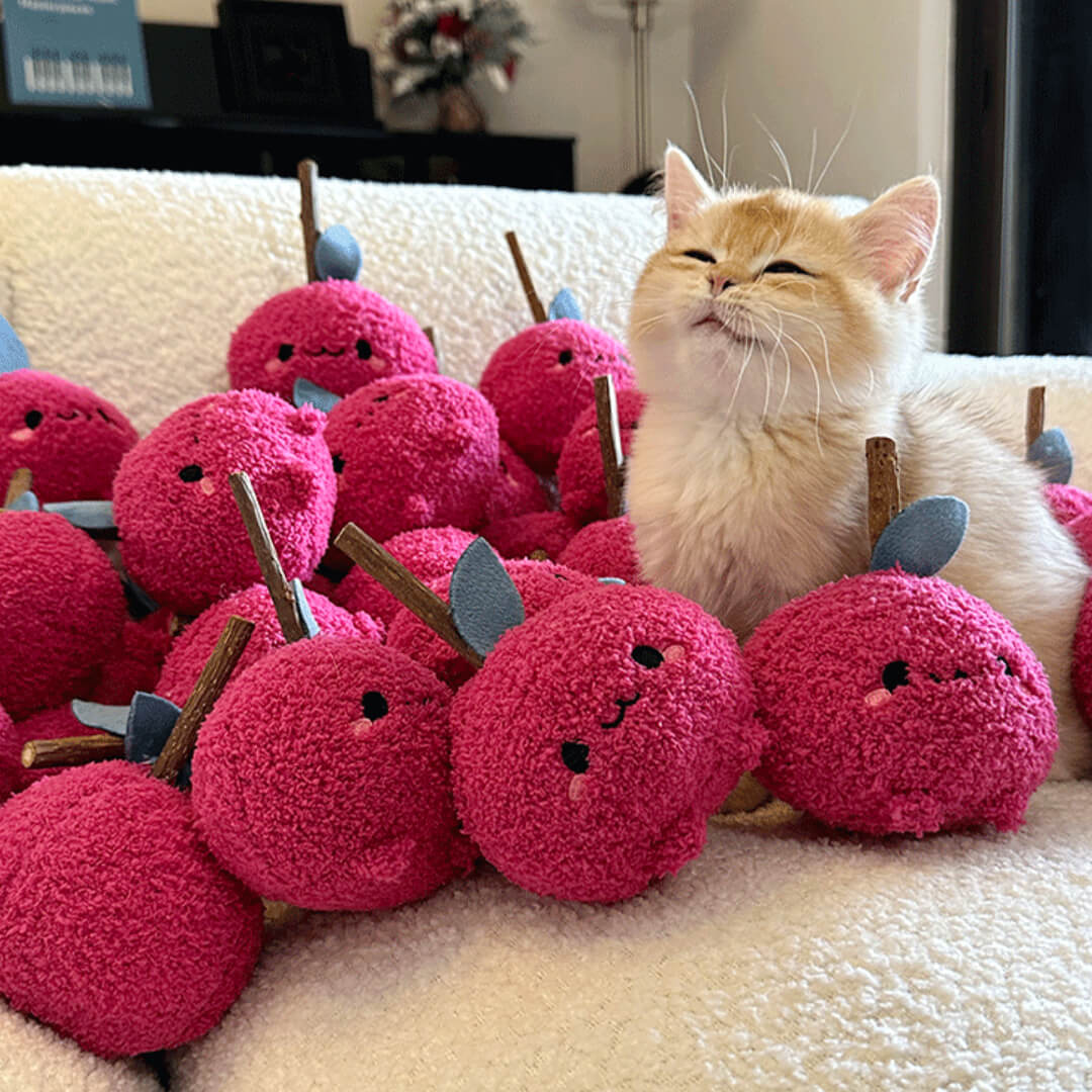 Cute Matatabi Catnip Plush Lollipop Plush Doll Silvervine Rod With Catnip Pet Al Cute Matatabi Catnip Plush Lollipop Plush Doll Silvervine Rod With Catnip Pet Al