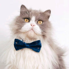 Load image into Gallery viewer, Beau Cat Bow Tie in Navy Blue on Cat | Star Print Bow Tie Collar | MissyMoMo
