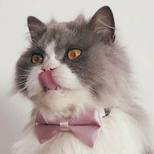 Load image into Gallery viewer, Beau Cat Bow Tie in Dusty Pink on Cat | Satin Bow Tie Collar Close Up | MissyMoMo
