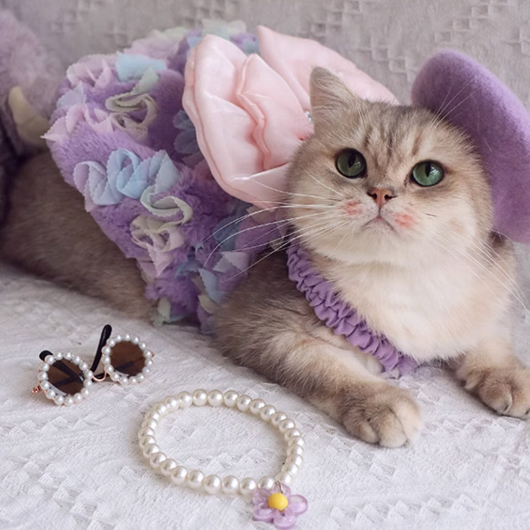 Belle Cat Dress