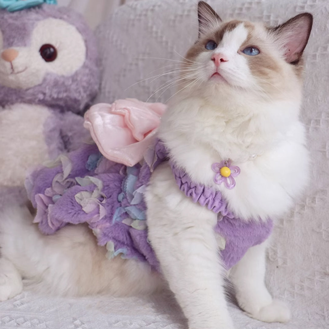 Belle Cat Dress | Elegant Lilac Dress for Cats