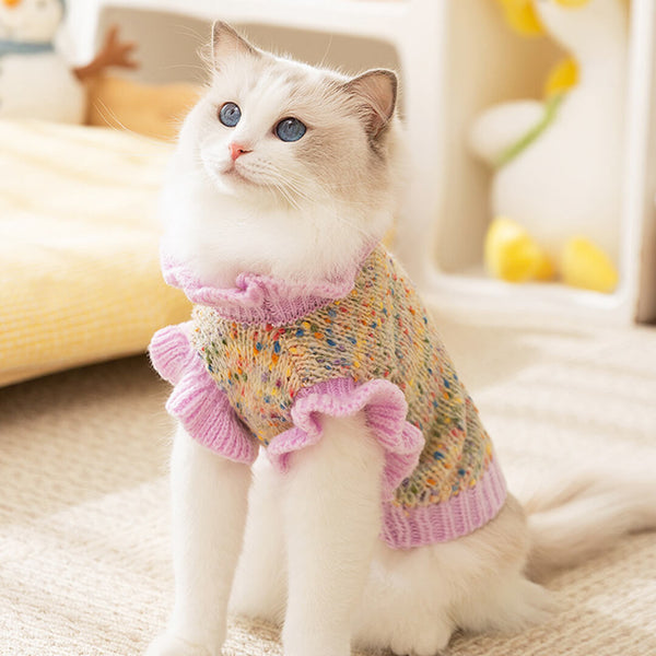 Cat in Cute Sweater | MissyMoMo