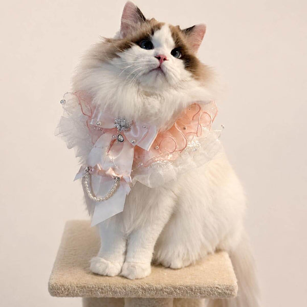 Pink Pearl Bow Cat Bib on Fluffy Cat | Handmade Ruffle Cat Bib | MissyMoMo