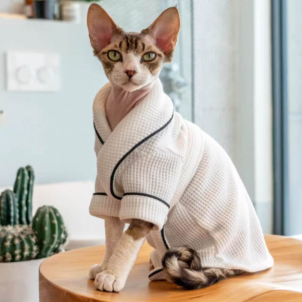 Devon Rex in White Bathrobe | MissyMoMo