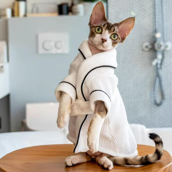 Devon Rex in White Bathrobe | MissyMoMo