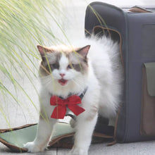 Load image into Gallery viewer, Cat Stepping Out of Cat Carrier Backpack | MissyMoMo
