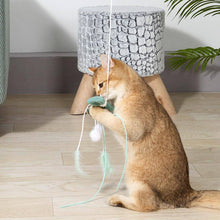 Load image into Gallery viewer, Cat Playing with Bow Whisker Twister Cat Wand | Kitten &amp; Cat Toys | MissyMoMo
