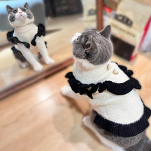 Load image into Gallery viewer, Cat in Elegant Sweater | MissyMoMo
