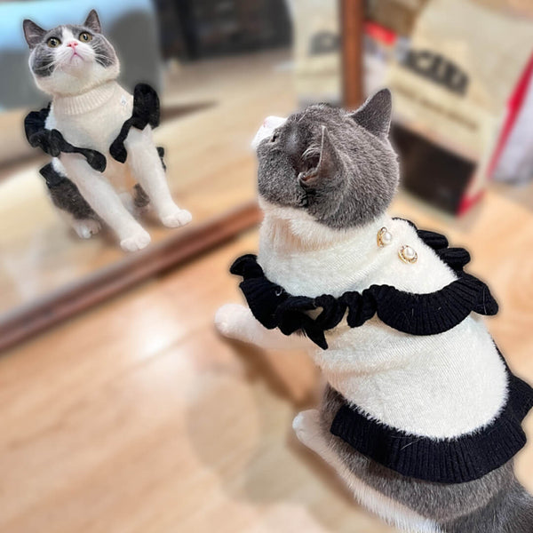 Cat in Elegant Sweater | MissyMoMo