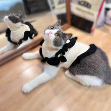 Load image into Gallery viewer, Cat in Elegant Sweater | MissyMoMo
