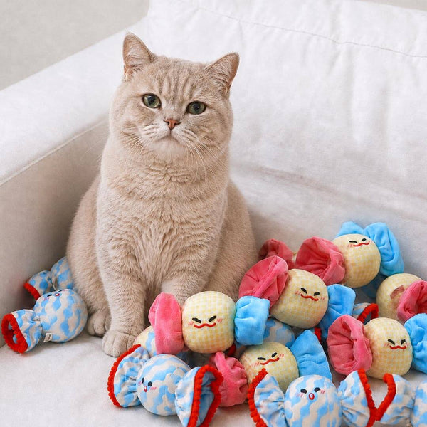 British Shorthair with Candy Plush Cat Toys | Cute Cat Toys | MissyMoMo