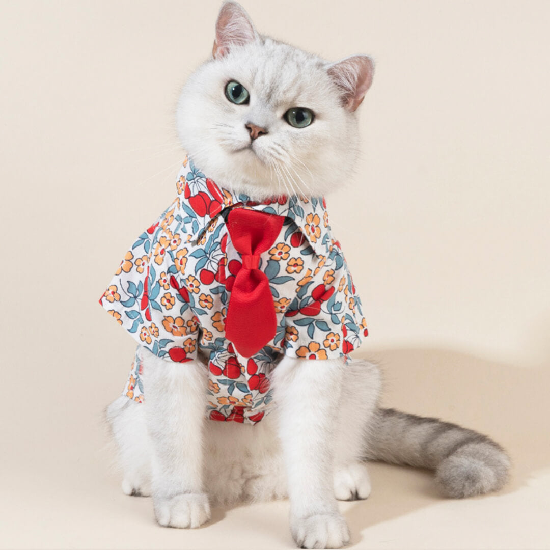Catsby Cat Shirt Tie Set - Main Image
