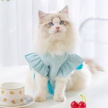 Load image into Gallery viewer, Cat in Blue Cat Vest | MissyMoMo
