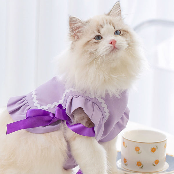 Cat in Purple Cat Vest | MissyMoMo
