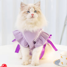 Load image into Gallery viewer, Cat in Purple Cat Vest | MissyMoMo
