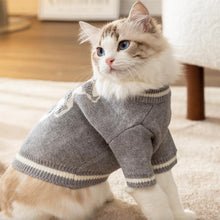Load image into Gallery viewer, Cat in Cute Grey Sweater | MissyMoMo

