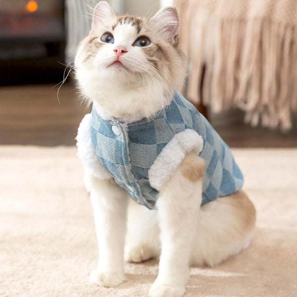 Cat in Blue Checkered Fleece Jacket | MissyMoMo
