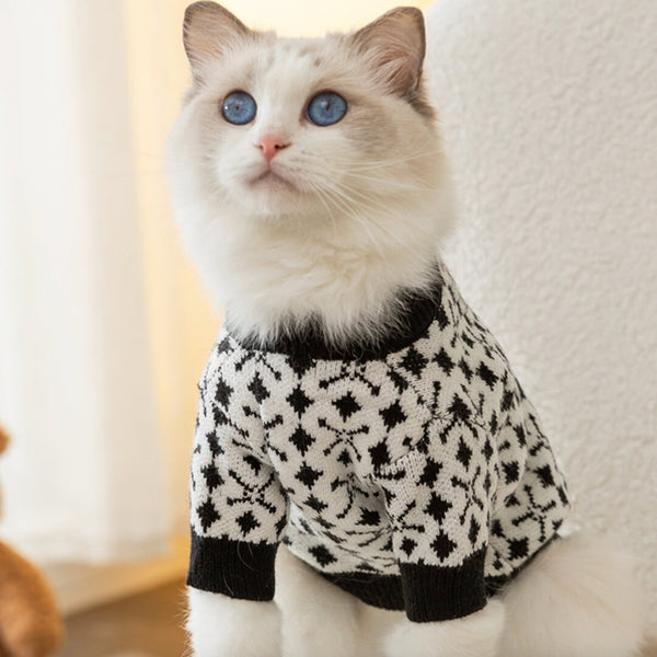 Cat in Stylish Christmas Sweater | MissyMoMo