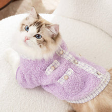 Load image into Gallery viewer, Cat in Stylish Jacket | MissyMoMo
