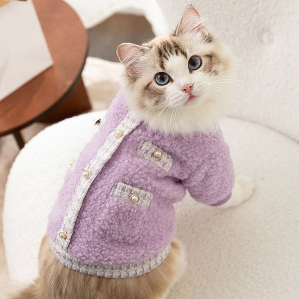 Cat in Stylish Jacket | MissyMoMo