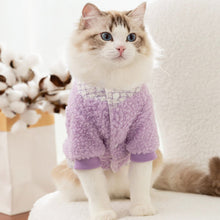 Load image into Gallery viewer, Cat in Purple Jacket | MissyMoMo
