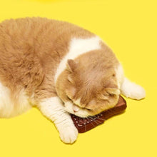 Load image into Gallery viewer, Cat Sleeping on Plush Chocolate Cat Toy | Cute Cat Toys | MissyMoMo
