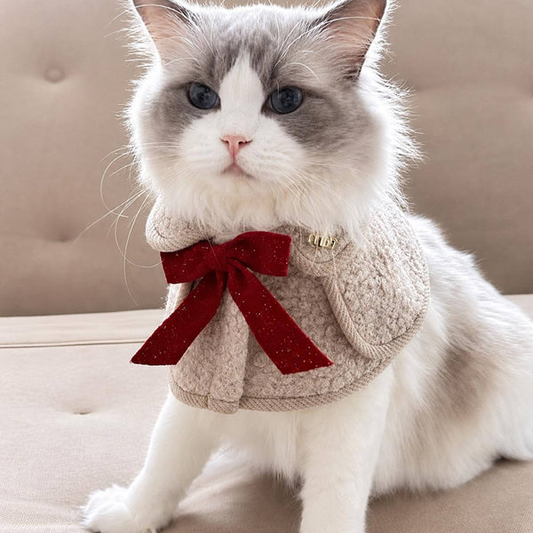 Colette Cat Bib in Vanilla on Ragdoll Cat | Bouclé Cape with Red Velvet Bow | MissyMoMo