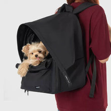 Load image into Gallery viewer, Cove Expandable Cat Backpack in Black with Small Dog | Pet Carrier Backpack | MissyMoMo
