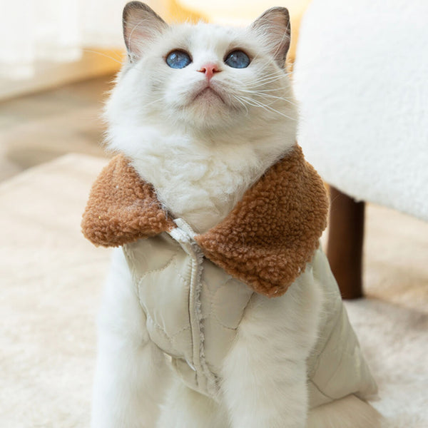Cat in White Harness Jacket | MissyMoMo