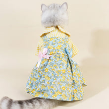 Load image into Gallery viewer, Cat in Checkered Floral Dress | MissyMoMo
