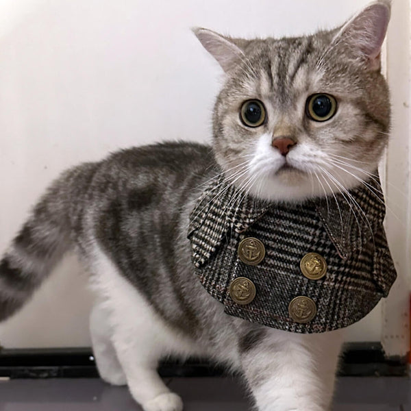 Cat in Tweed Cat Bib | MissyMoMo