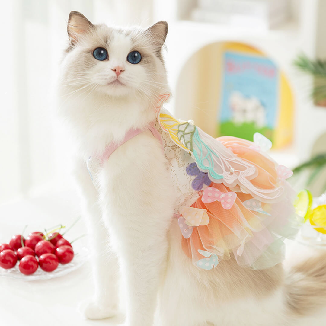 Fairy Cat Dress | Summer Dress for Cats | MissyMoMo Fairy Cat Dress | Summer Dress for Cats | MissyMoMo