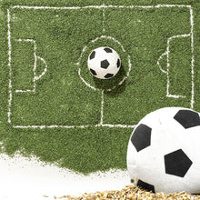 Load image into Gallery viewer, Soccer Ball Catnip Toy | Football Toy for Cats | MissyMoMo
