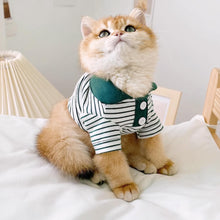 Load image into Gallery viewer, Cat in Green Striped Polo Shirt | MissyMoMo
