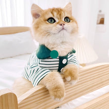 Load image into Gallery viewer, Cat in Green Striped Polo Shirt | MissyMoMo
