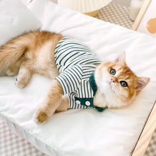 Load image into Gallery viewer, Cat in Green Striped Polo Shirt | MissyMoMo
