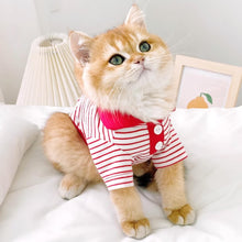 Load image into Gallery viewer, Cat in Red Striped Polo Shirt | MissyMoMo
