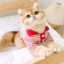 Load image into Gallery viewer, Cat in Red Striped Polo Shirt | MissyMoMo
