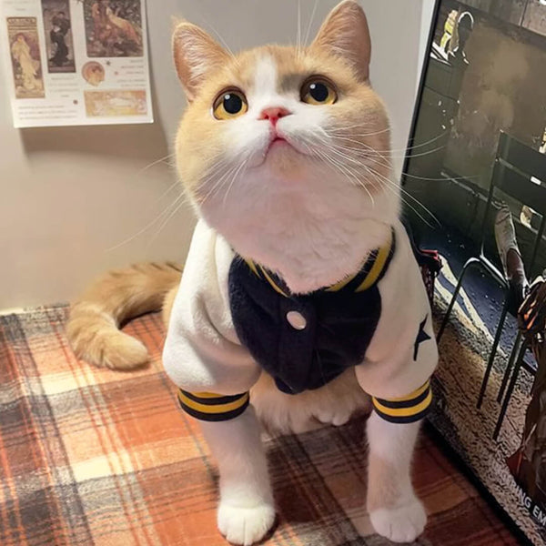 Cat in Bomber Jacket | MissyMoMo