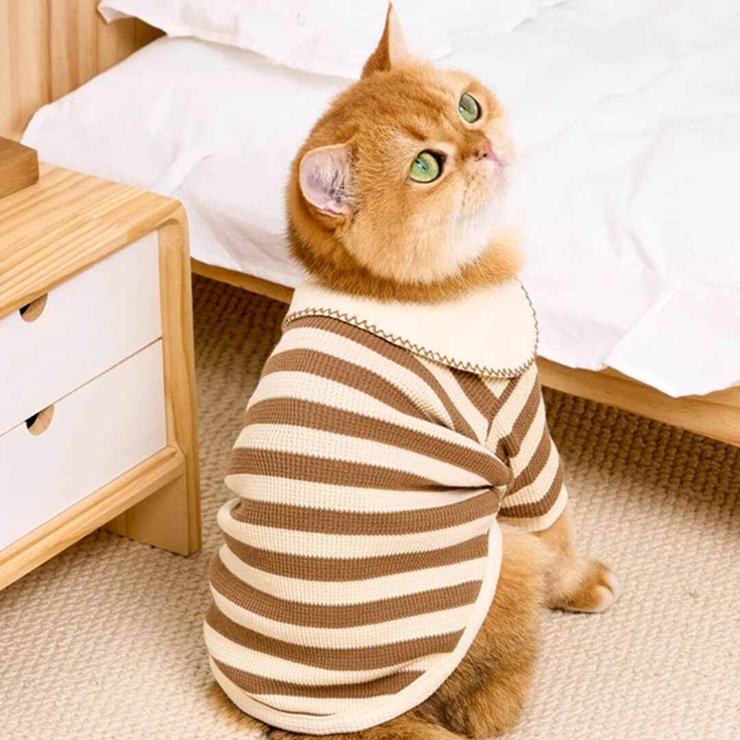 Striped Sweater Kitty Cat Clothes Cute Cat Clothes Sphinx Striped