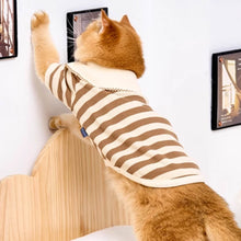 Load image into Gallery viewer, Cat in Brown Striped Shirt | Cat Clothes | MissyMoMo

