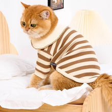 Load image into Gallery viewer, Cat in Brown Striped Shirt | Cat Clothes | MissyMoMo
