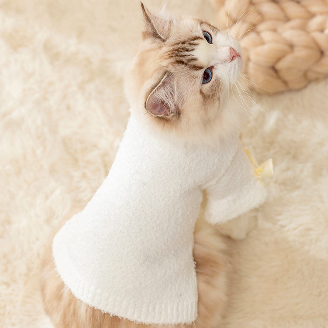 Jasmine Cat Sweater for Cats & Kittens