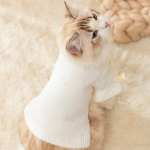 Load image into Gallery viewer, Cat in White Sweater | MissyMoMo
