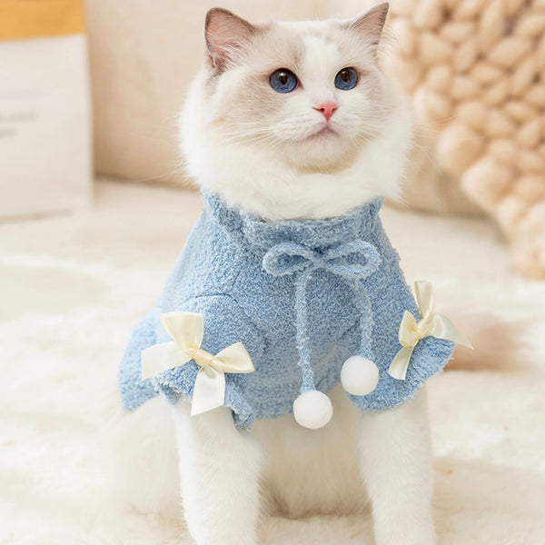 Cat in Blue Sweater | MissyMoMo