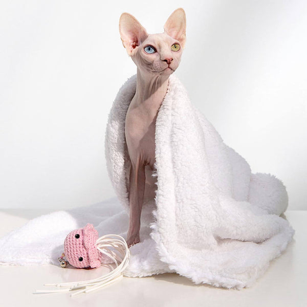 Sphynx Cat with Jellyfish Cat Teaser Wand | Cute Cat Toys | MissyMoMo