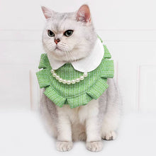 Load image into Gallery viewer, Cat in Green Cat Bib | MissyMoMo
