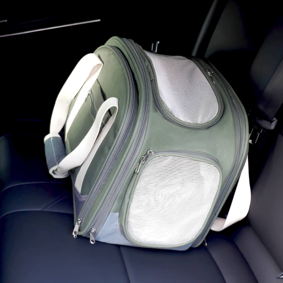 Kitty Chic Expandable Airline-Approved Cat Carrier | MissyMoMo